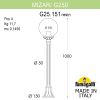 Назменый уличный светильник MizarR Globe 250 G25.151.000.BXF1R Fumagalli (2)