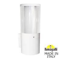 Настенный уличный светильник Fumagalli Carlo WALL DR1.570.000.WXU1L